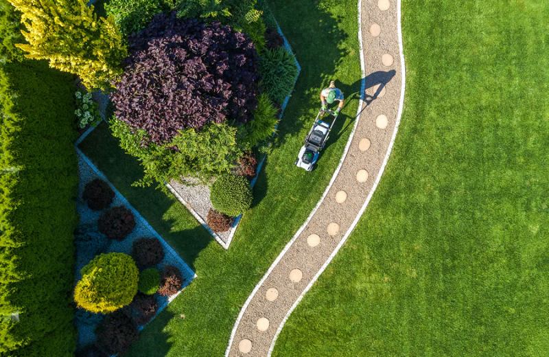 Landscaping Around Your Septic Tank System