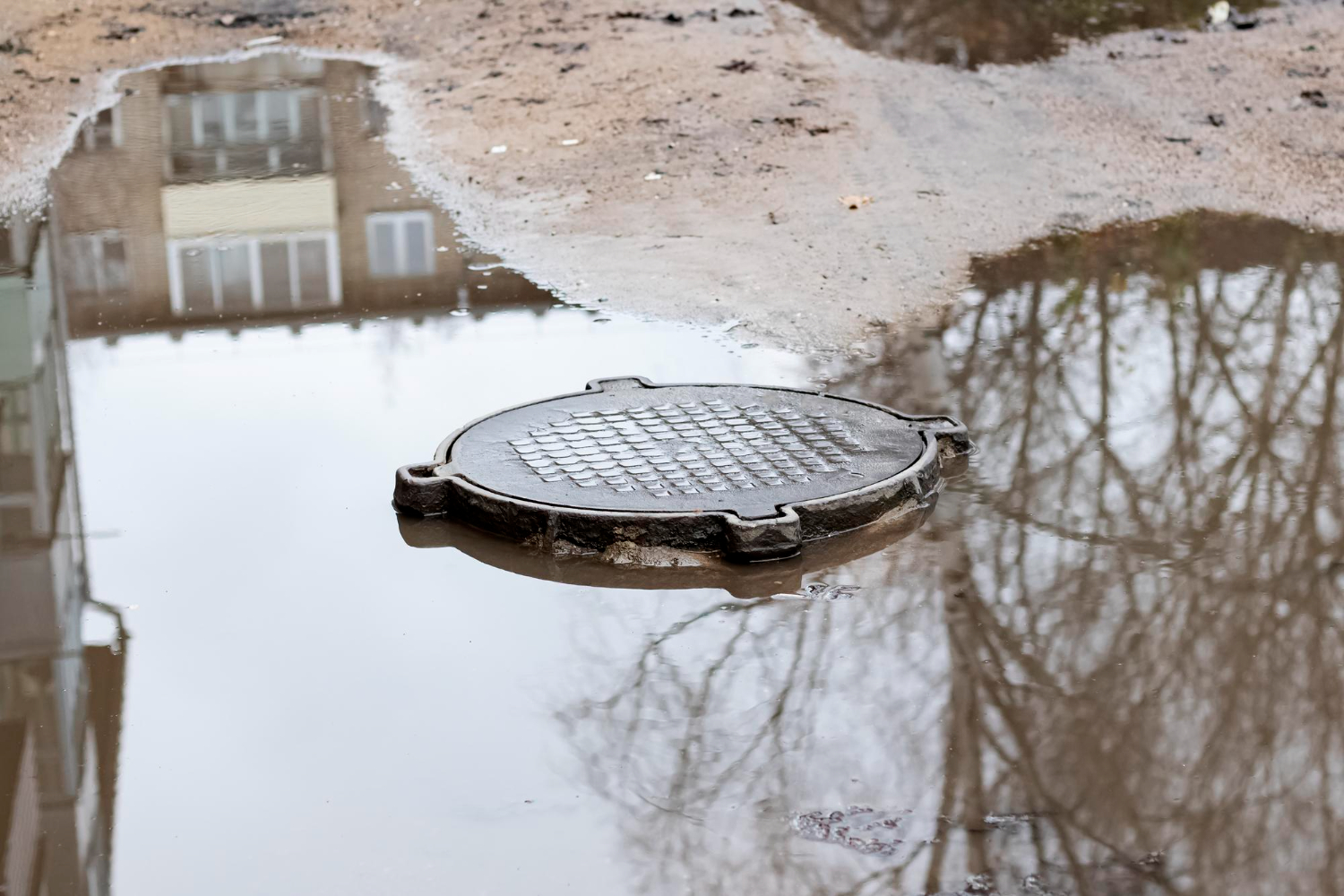 Rain, Rain, Go Away: Understanding Septic Systems and Wet Weather