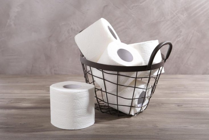 Are All Types of Toilet Tissue Safe for Use in a Septic System? 