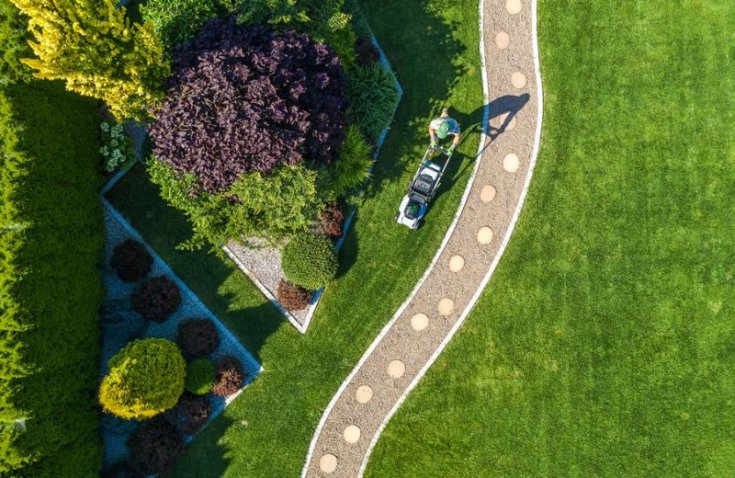 Landscaping Around Your Septic Tank System 