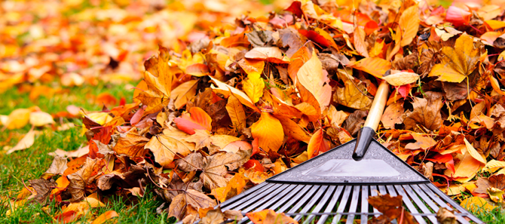 A Fall Maintenance Checklist for Your Home or Business  