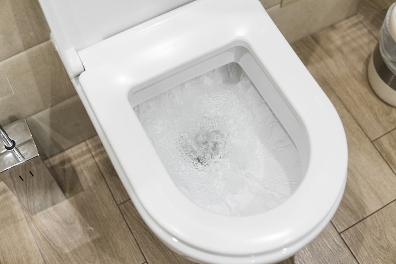 3 Ways to Keep Things Flushing Smoothly This Summer