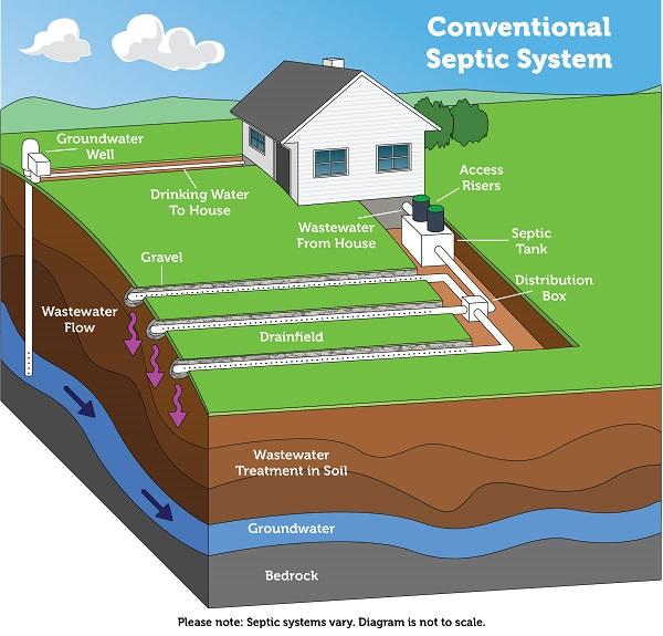 Your Guide to Septic Tank Function