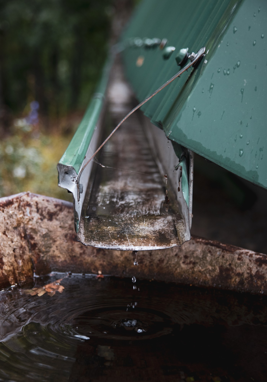 Drain Fields: What They Are and What They Do