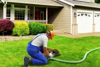 Unusual Septic Tank Blockages
