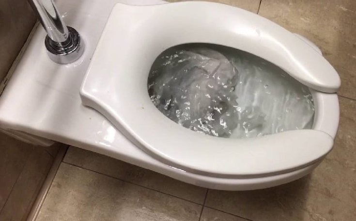 What Can't Be Flushed Down My Septic Tank? 